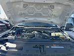 2026 Ford F-450 Crew Cab DRW 4x4 Premier Truck Center Landscape Dump for sale #T0097 - photo 38