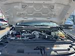 2024 Ford F-350 Crew Cab SRW 4x4 Pickup for sale #T0203A - photo 39