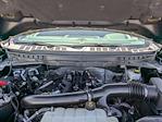 2024 Ford F-150 SuperCrew Cab 4WD Pickup for sale #3GU69332 - photo 34