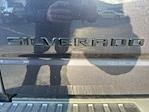 2023 Chevrolet Silverado 1500 Crew Cab 4WD Pickup for sale #PG171042W - photo 6