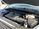 2023 GMC Sierra 1500 Crew Cab 4WD Pickup for sale #PZ236075W - photo 18