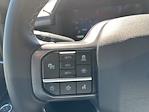2024 Ford F-150 SuperCrew Cab 4WD Pickup for sale #RFA20728C - photo 20