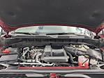 2024 Chevrolet Silverado 1500 Crew Cab 4WD Pickup for sale #RG247816T - photo 25