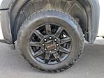 2025 GMC Sierra 3500 Crew Cab 4WD Pickup for sale #SF210142C - photo 21