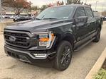 2023 Ford F-150 SuperCrew Cab 4WD Pickup for sale #25J1801A - photo 49
