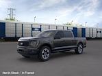 2025 Ford F-150 SuperCrew Cab 4x4 Pickup for sale #1FTEW2LP0SKE39604 - photo 1