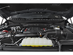 2025 Ford F-150 SuperCrew Cab 4WD Pickup for sale #50441 - photo 11