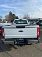 2024 Ford F-250 Regular Cab 4WD Western Plow Truck for sale #41137 - photo 8