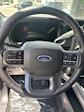 2025 Ford F-350 Crew Cab SRW 4WD Pickup for sale #50394 - photo 17