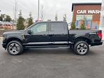 Used 2024 Ford F-150 STX SuperCrew Cab for sale #V00120 - photo 28