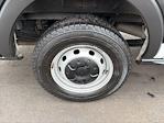 2020 Ford Transit 250 Low Roof RWD Empty Cargo Van for sale #V00122 - photo 4
