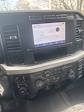 New 2024 Ford F-600 Regular Cab 4WD 12' Rugby Landscape Dump for sale #24F1039 - photo 10