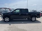 2016 Ford F-150 SuperCrew Cab 4WD Pickup for sale #24F1086B - photo 27