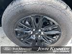 2024 Ford F-150 SuperCrew Cab 4WD Pickup for sale #25F0486B - photo 32