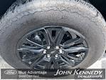 2024 Ford F-150 SuperCrew Cab 4WD Pickup for sale #25F0486B - photo 30