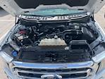 2022 Ford F-150 SuperCrew Cab 4WD Pickup for sale #25F0512A - photo 16