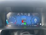 2024 Ford F-150 SuperCrew Cab 4WD Pickup for sale #F00003 - photo 25
