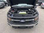 2024 Ford F-150 SuperCrew Cab 4WD Pickup for sale #F00003 - photo 12