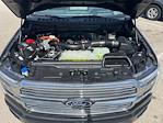 2024 Ford F-150 SuperCrew Cab 4WD Pickup for sale #P11716 - photo 24