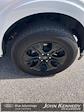 2023 Ford F-150 SuperCrew Cab 4WD Pickup for sale #P11746 - photo 24