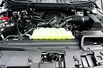 New 2025 Ford F-150 XL Regular Cab Pickup for sale #1UR0324 - photo 9