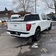 2025 Ford F-150 SuperCrew Cab 4WD Pickup for sale #P2253 - photo 3