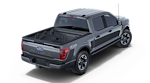 2025 Ford F-150 SuperCrew Cab 4WD Pickup for sale #UR0100 - photo 24