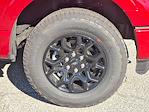 2025 Ford F-150 SuperCrew Cab 4WD Pickup for sale #UR0111 - photo 7