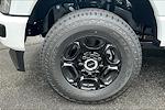 2025 Ford F-250 Crew Cab 4WD Pickup for sale #UR0311 - photo 11