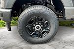 2025 Ford F-250 Crew Cab 4WD Pickup for sale #UR0331 - photo 11