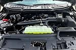 New 2025 Ford F-150 XLT SuperCrew Cab 4WD Pickup for sale #UR0403 - photo 10