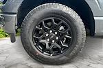 New 2025 Ford F-150 XLT SuperCrew Cab 4WD Pickup for sale #UR0403 - photo 11