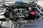 New 2025 Ford Ranger XL SuperCrew Cab for sale #UR0682 - photo 10