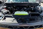 2025 Ford F-150 SuperCrew Cab 4WD Pickup for sale #UR0691 - photo 9