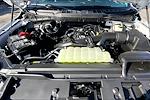 New 2025 Ford F-150 XL Regular Cab for sale #UR0803 - photo 13