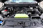 New 2025 Ford F-150 Tremor SuperCrew Cab for sale #UR0828 - photo 9
