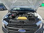 Used 2020 Ford F-150 Regular Cab for sale #P27994 - photo 32