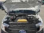 Used 2019 Ford F-150 Regular Cab Pickup for sale #P28289 - photo 36