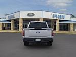 2025 Ford F-150 SuperCrew Cab 4x4 Pickup for sale #A30909 - photo 19