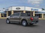 2025 Ford F-150 SuperCrew Cab 4x4 Pickup for sale #B10000 - photo 4