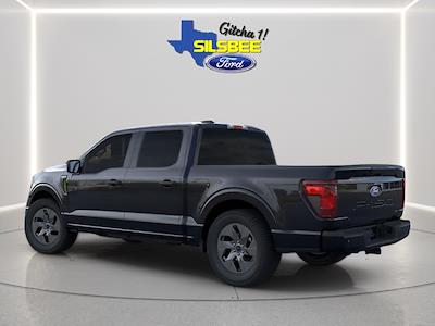 New 2025 Ford F-150 - photo 1