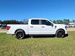 2024 Ford F-150 SuperCrew Cab 4x2 Pickup for sale #F09720 - photo 17