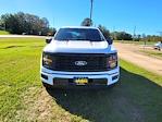 2024 Ford F-150 SuperCrew Cab 4x2 Pickup for sale #F09720 - photo 3