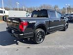 Used 2024 Ford F-150 STX SuperCrew Cab for sale #HF415862A - photo 6