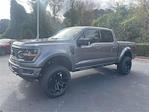2024 Ford F-150 SuperCrew Cab 4x4 Pickup for sale #HFA19386 - photo 5