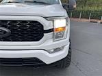 2021 Ford F-150 SuperCrew Cab 4WD Pickup for sale #HFB74135A - photo 36
