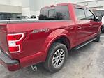 2019 Ford F-150 SuperCrew Cab 4x4 Pickup for sale #HFB96102A - photo 4