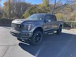 2025 Ford F-150 SuperCrew Cab 4x4 Pickup for sale #HFB98162 - photo 3