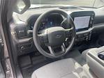 2024 Ford F-150 Regular Cab 4x2 Pickup for sale #HFC19244A - photo 10