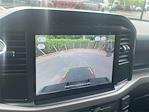 2024 Ford F-150 Regular Cab 4x2 Pickup for sale #HFC19244A - photo 21